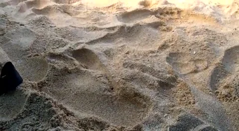 Beach Vídeos de archivo 242700598