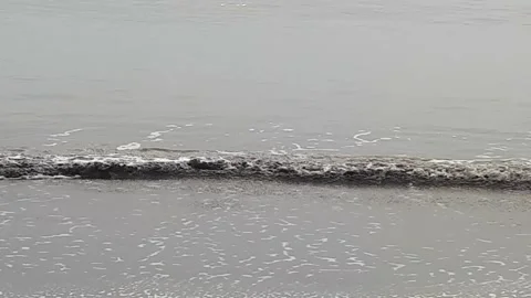Beach Stock Footage 247608319