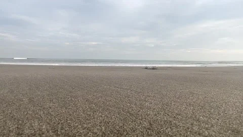 The beach Stock Footage 248685635