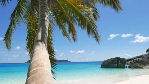 Beach Stock Footage 266733763