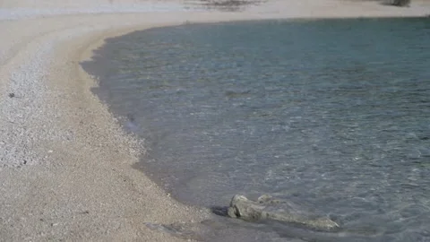 Beach Stock Footage 269892781