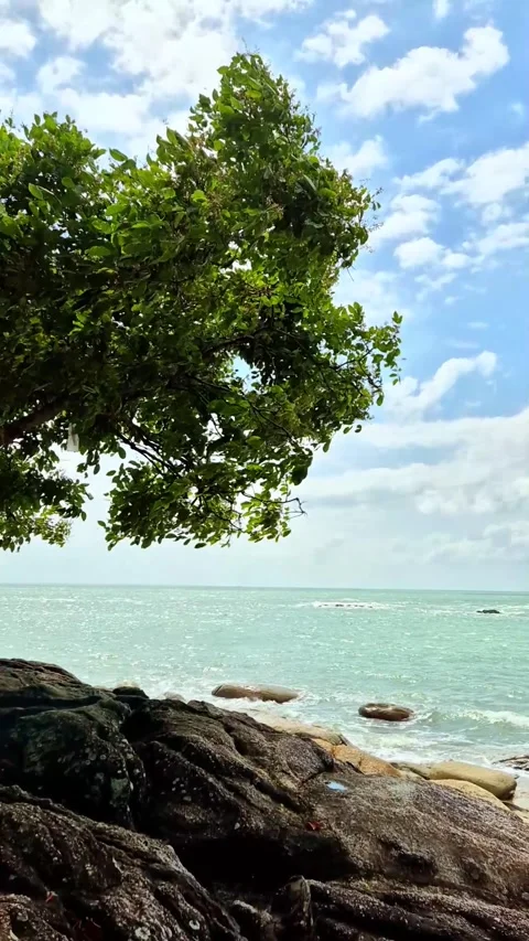 On the beach Stock Footage 292974754