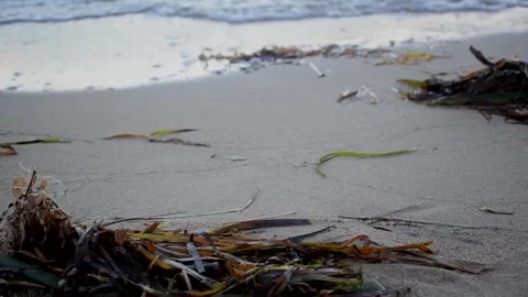 BEACH Stock Footage 294159802