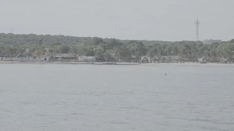 Beach 스톡 동영상 301247454