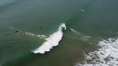 Beach Stock Footage 318170319