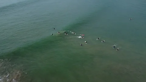 Beach Stock Footage 318170328