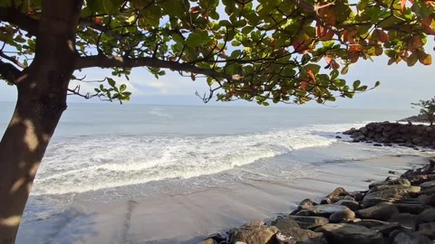 Beach Stock Footage 329906943