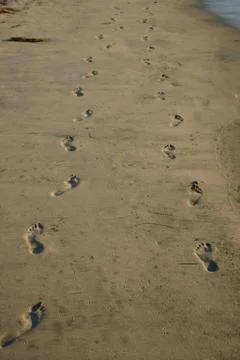 Beach Footprints Stock Photos