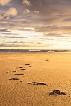 Beach footprints Stock Photos