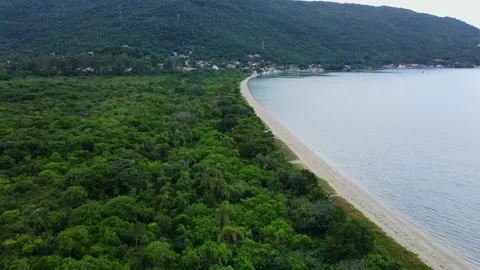 Beach with forest and mountains in Florianopolis, Brazil. Aerial view Stock Footage 238672428