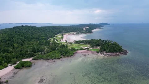 A beach with a forest in the background Video stock 318268388