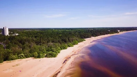 Beach on the forest edge near Saint Petersburg Stock Footage 90801151