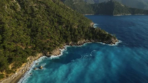 Beach with forest  Stock Footage 226945313