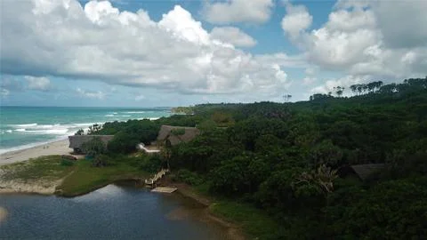 Beach forest Stock Photos