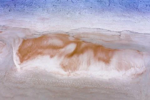 Beach Fox Stock Photos