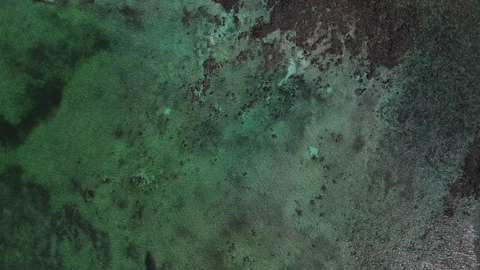 Beach Front Of The Atlantic Ocean Stock Footage 301703091