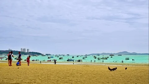 Beach Front Time-Lapse Stock Footage 114201011