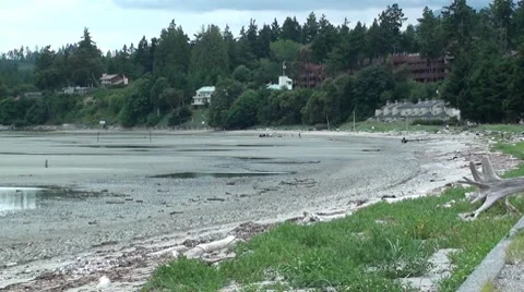 Beach Frontage.m2ts Stock Footage 7761526