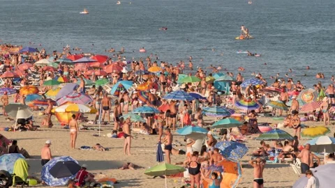 Beach full of bathers. Beach with sun umbrellas. Concept of sea, sun, beach Stock Footage 139592118