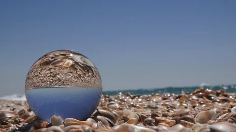 Beach full of seashells magic ball Stock Footage 108456634