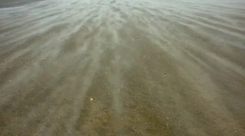 Beach gale 02 Video stock 12374570