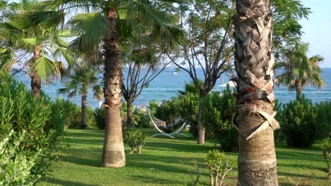 Beach garden and hammock Stock Footage 157448933