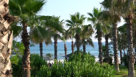 Beach garden and sea view Stock Footage 157448976