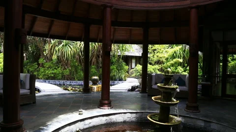 Beach garden Stock Footage 42119443