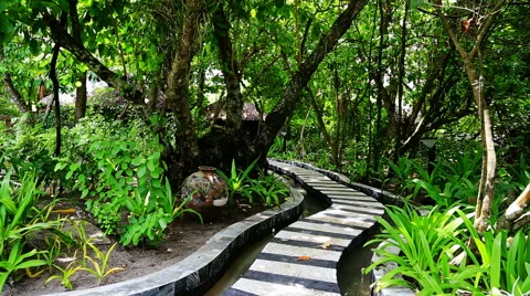 Beach garden Stock Footage 42120312