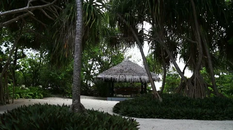 Beach garden Stock Footage 42120655