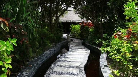 Beach garden 库存影片 42121238