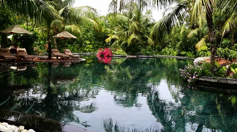 Beach garden swimming pool Stock Footage 42120973