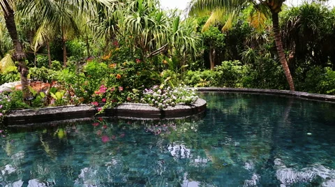 Beach garden swimming pool Stock Footage 42121027