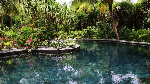 Beach garden swimming pool 動画素材 42121152