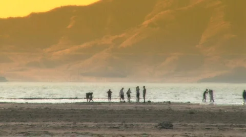 Beach Gathering Stock Footage 620065