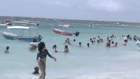 Beach goers in water Stock Footage 236178157