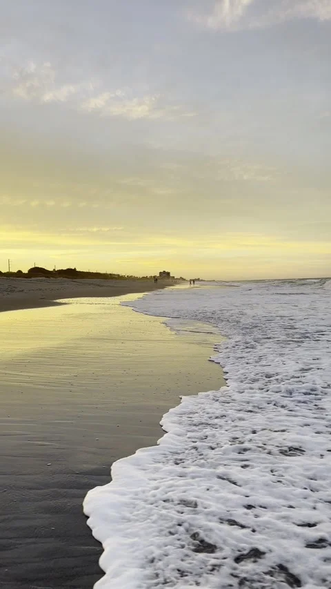 Beach at golden hour. Видео 295461256