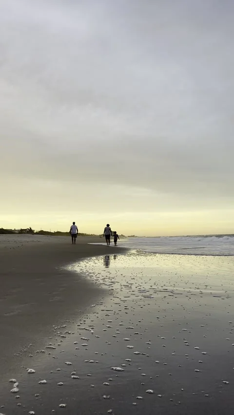 Beach at golden hour. Stock Footage 295461269