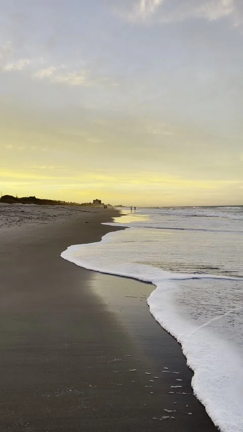 Beach at golden hour. Видео 295461297