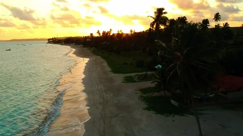 Beach golden  landscape Stock Footage 133207858