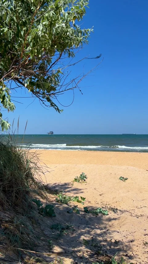 The beach in Golubitskaya. The landscape of the shell beach Stock Footage 283270231