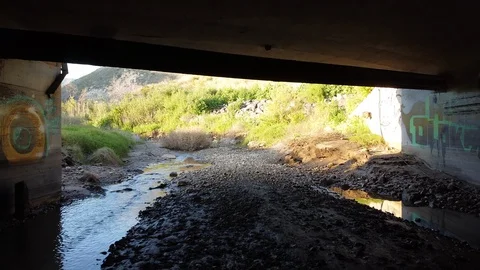 Beach Graffiti Stock Footage 128946230