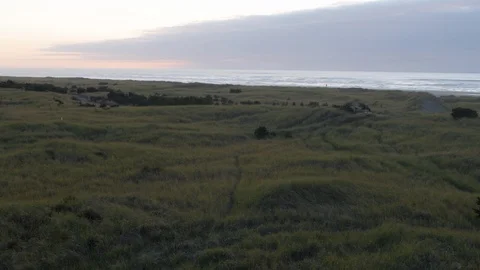 Beach Grass and the beach and ocean at sunset Stock Footage 87309355
