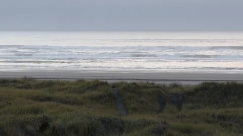 Beach Grass, beach and the ocean at sunset Stock Footage 87307032