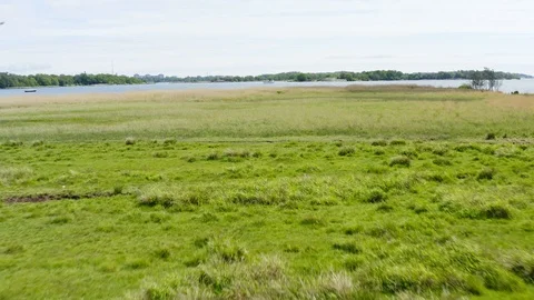 Beach grass field flyover Stock Footage 109500864