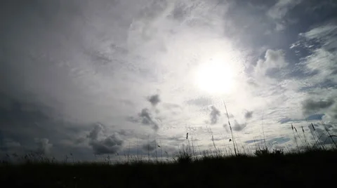 Beach Grass Stock Footage 35365359