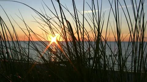 Beach Grass in front of a Beautiful Sunset - Baltic Sea, Northern Germany Stockbeeldmateriaal 12533893
