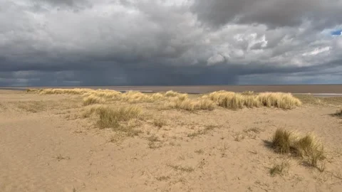 Beach grass growing on a sunlit sandy beach with grey stormy sky. Видео 240285889