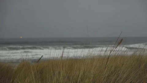 Beach grass with light in distance Stock-Footage 147150741