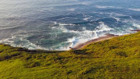 Beach With Grass Stock Photos